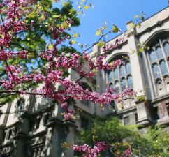 Instagram photo of campus in spring