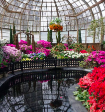 Instagram photo of the Lincoln Park Conservatory
