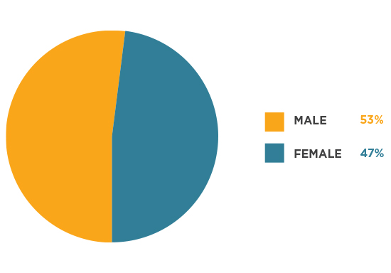 Male 53%, Female 47%