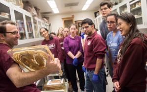 UChicago Capstone Project