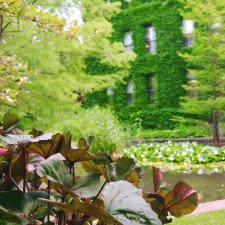 Instagram photo of Botany Pond