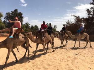 A camel ride at Lac Rose