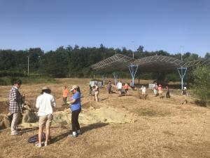 A group of archaeologists on the dig site